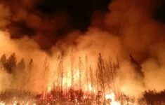 Lesní požár, ilustrační snímek