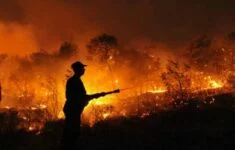 Požár v Amazonii