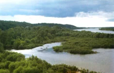 Řeka Pripjať v Polesí na nynějších ukrajinsko-běloruských hranicích