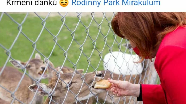 Paní ministryně krmí zvířata v zoo. 