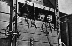 Transporty židů během holocaustu