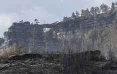 Požár v Národním parku České Švýcarsko