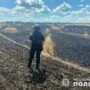 Spálené ukrajinské pole po ruském dělostřeleckém útoku u Illinivky v Doněcké oblasti. (Červenec 2023).
