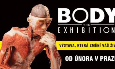 The Body Exhibition (JVS Group)