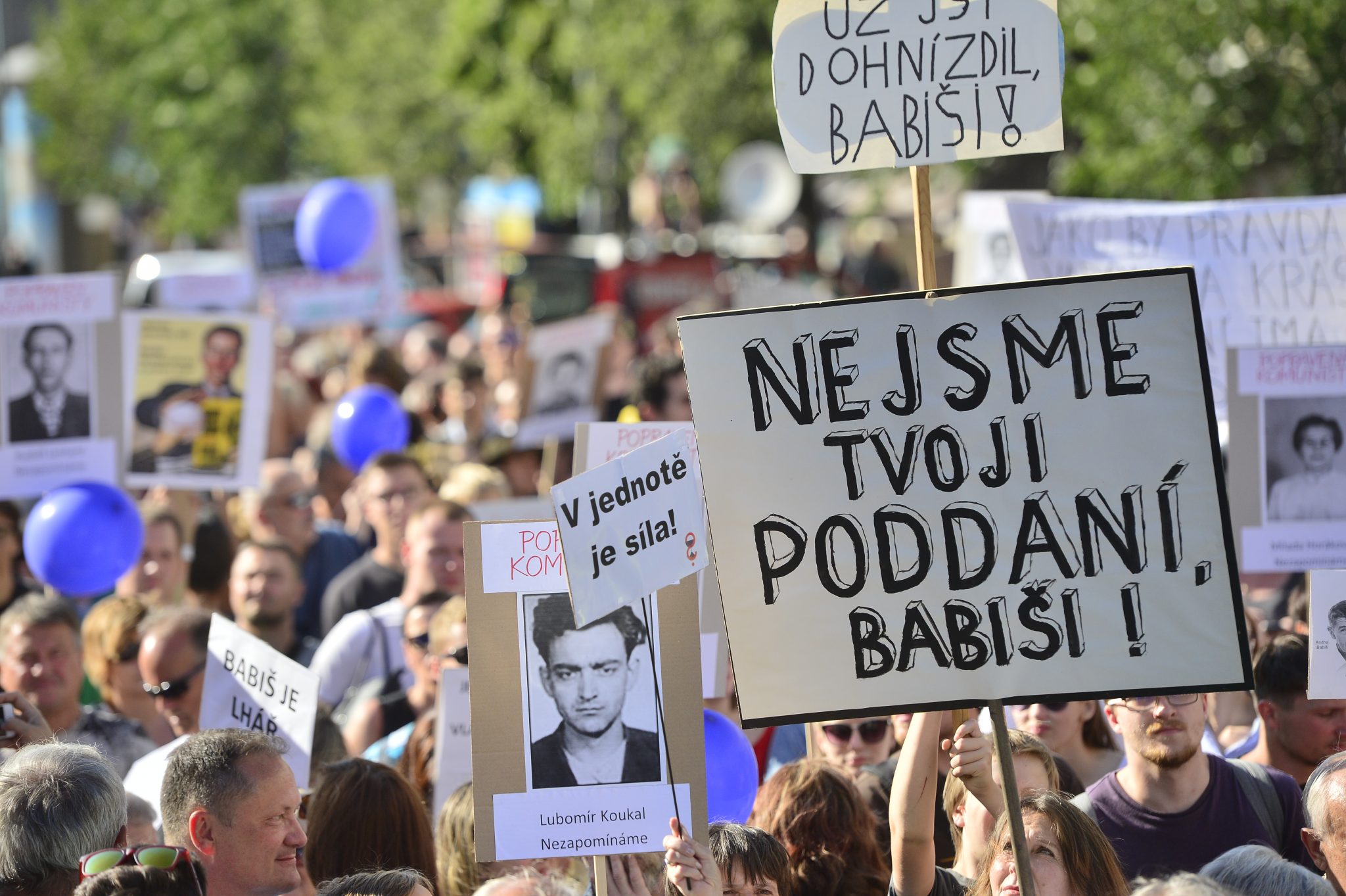 Demonstrace proti Babišovi a komunistům (Zbyněk Pecák)