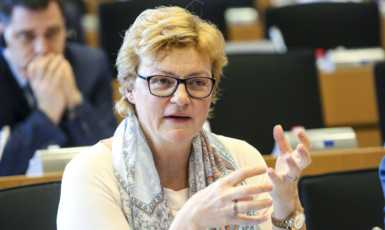 Monika Hohlmeierová vedla misi EP do České republiky. (Evropská unie)