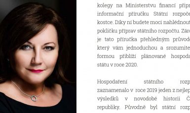 Ministryně financí Alena Schillerová (graficky vylepšená k nepoznání) (Informační příručka ministerstva financí „Státní rozpočet 2020 v kostce“)