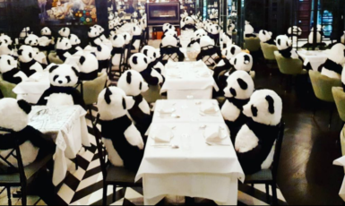 Místo hostů mají ve frankfurtské restauraci 100 pand. (IG @pino.frankfurt)