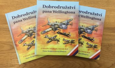 Kniha Dobrodružství pana Wellingtona (FORUM 24)