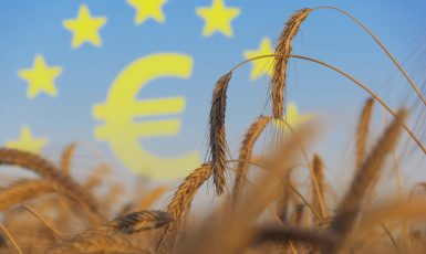 Ilustrační foto, EU, zemědělské dotace (AdobeStock)