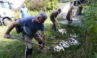 Rybáři nakládají leklé ryby z řeky Bečvy (ČTK/Peřina Luděk)