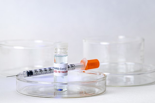 Vakcína proti Covidu-19 (Pixabay)