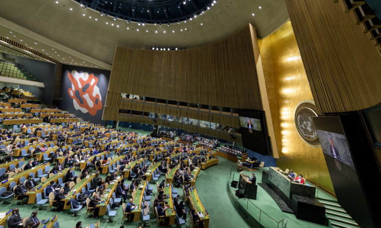 Valné shromáždění OSN (OSN / Manuel Elías / se souhlasem)