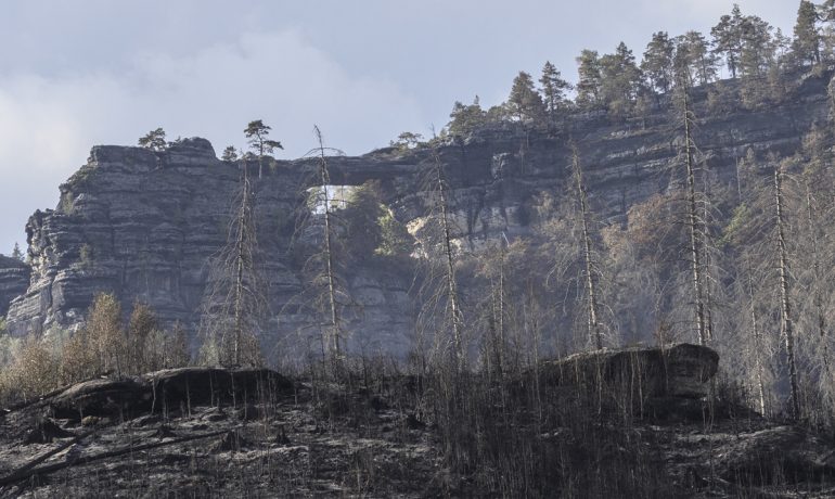 Požár v Národním parku České Švýcarsko (Jan Šibík / FORUM 24)