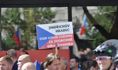 Protest s názvem Česká republika na 1. místě na Václavském náměstí.  (Pavel Šmejkal)