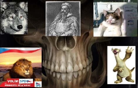 Kandidaturu charismatického okamurovce Ivana Davida podporují lev, pejsek i kočička  