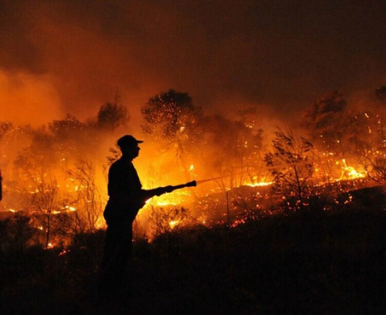 Požár v Amazonii