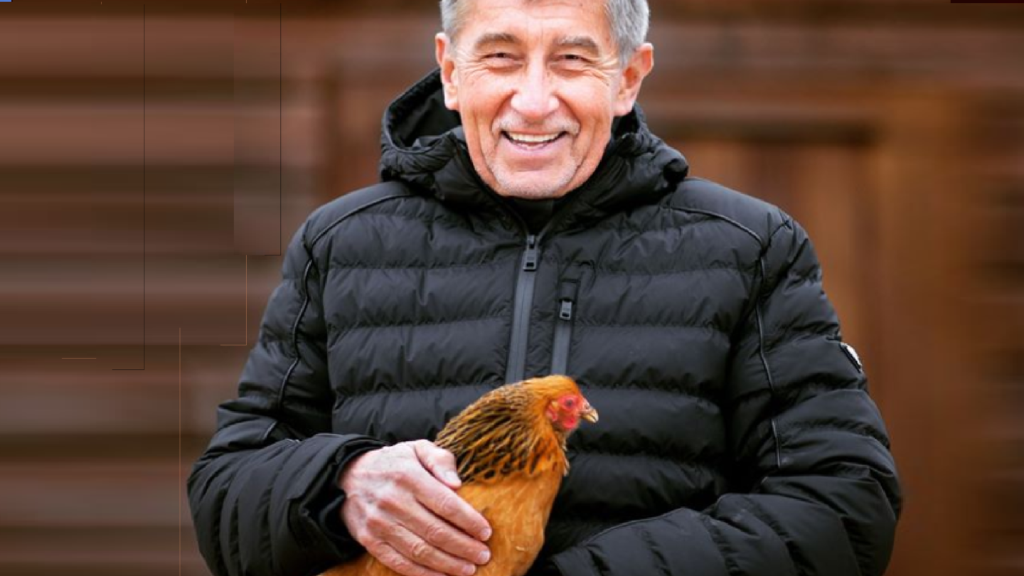 Andrej Babiš s pečlivě vybranou "reklamní" slepicí