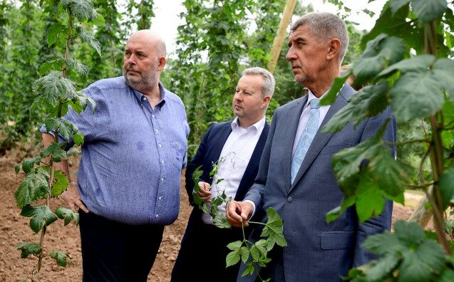 Exministr zemědělství Miroslav Toman, exministr životního prostředí Richard Brabec a expremiér Andrej Babiš na chmelnici v Lišanech