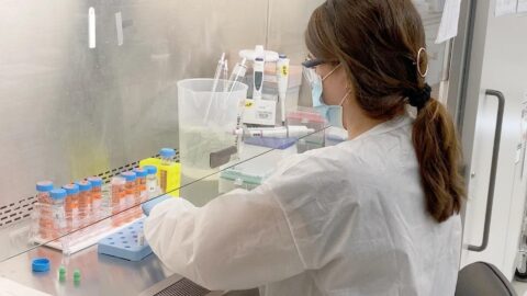 Vakcína, záběr z laboratoře firmy Pfizer