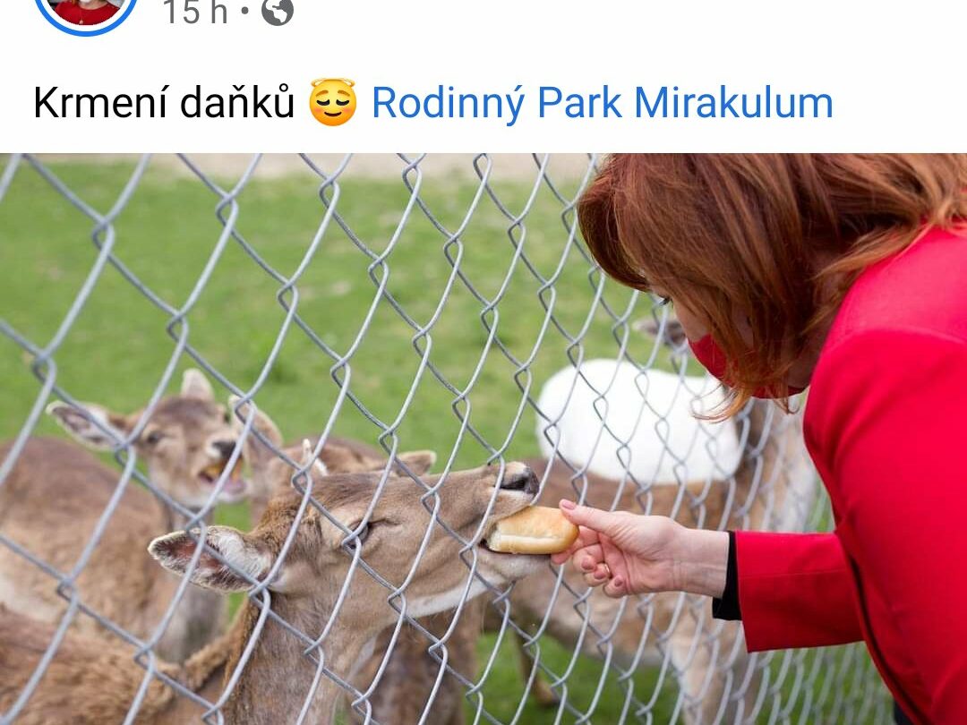 Paní ministryně krmí zvířata v zoo. 