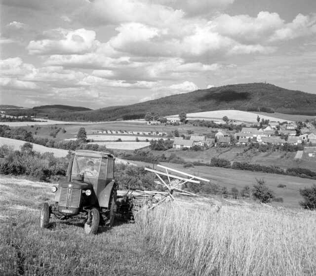 Žně pod Blaníkem v srpnu 1962 – traktorista Karel Žížala z JZD Louňovice dokončuje sečení žita