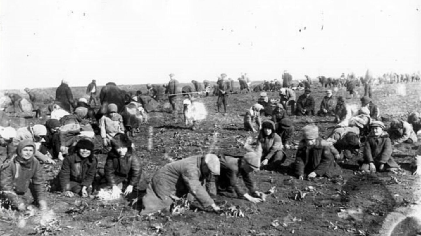 Děti sbírající zmrzlé brambory, vesnice Udačnoje, Doněcká oblast, rok 1933