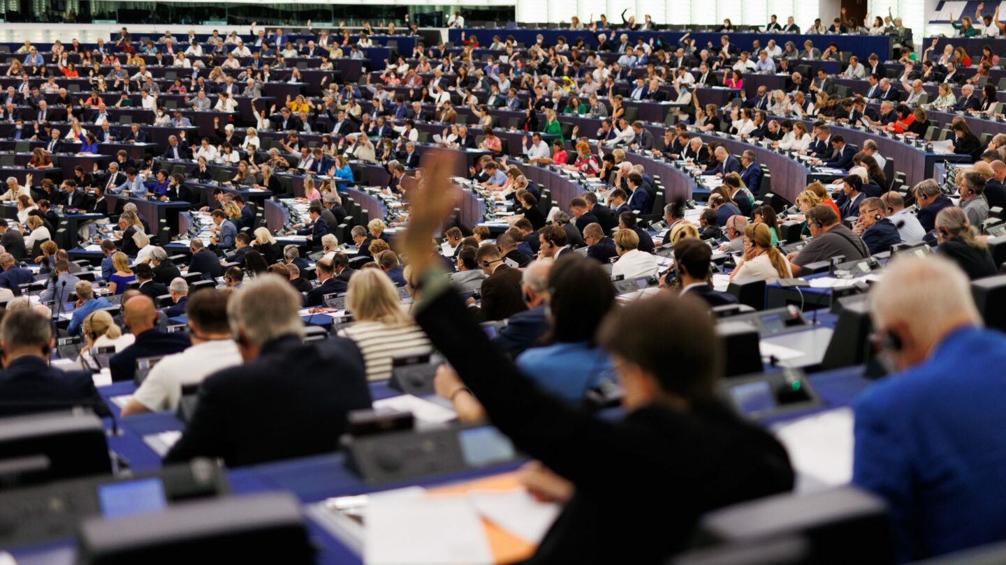 Hlasování v Evropském parlamentu