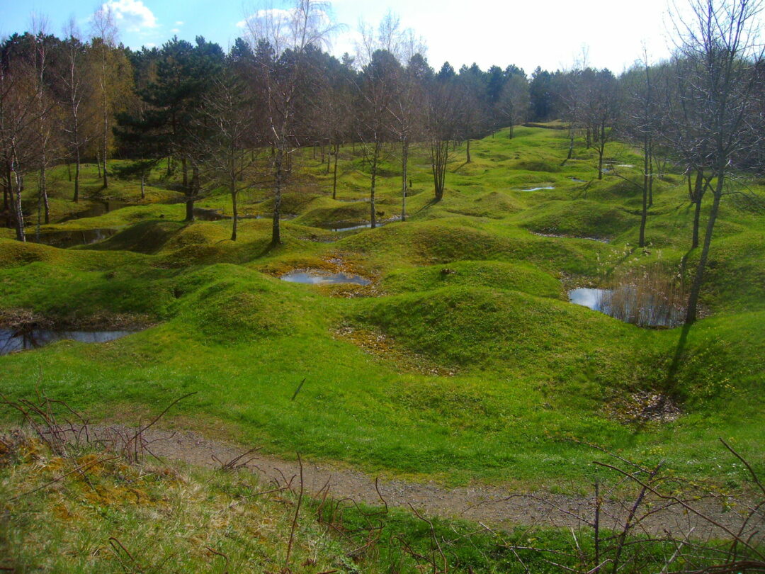 Krajina poblíž Verdunu dodnes připomíná dělostřelecké bombardování. Fotografie byla pořízena v roce 2005.