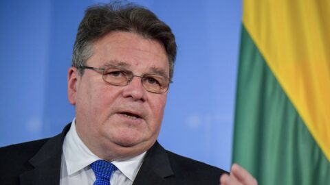 Jeden z nejvýznamnějších litevských politiků, bývalý ministr zahraničních věcí a obrany Linas Antanas Linkevičius.