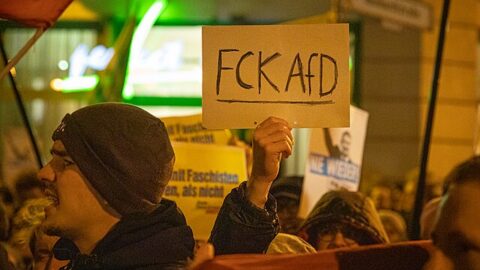 Demonstrace proti radikálně pravicové a populistické straně Německa AfD