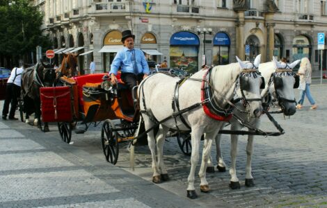 Kočáry tažené koňmi na Staroměstském náměstí v Praze.