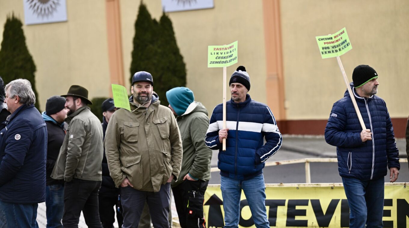Zbyněk Pecák / FORUM 24